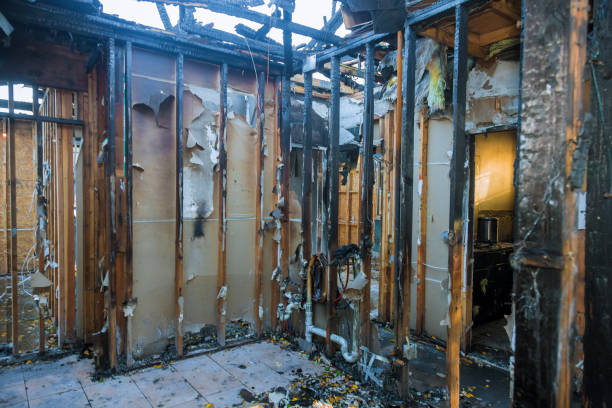 Professional Fire Damage Cleanup technician working in Woodville, WI